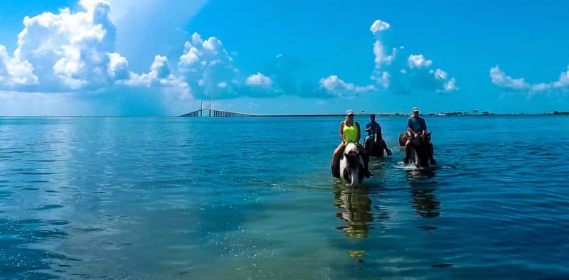 Beach horseback riding near Longboat Key