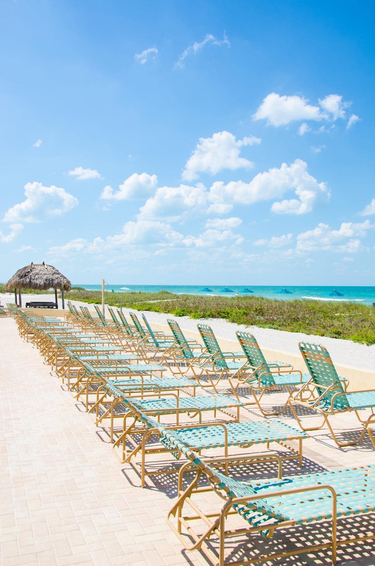 Lounge chairs arranged on the beach at Casa Del Mar