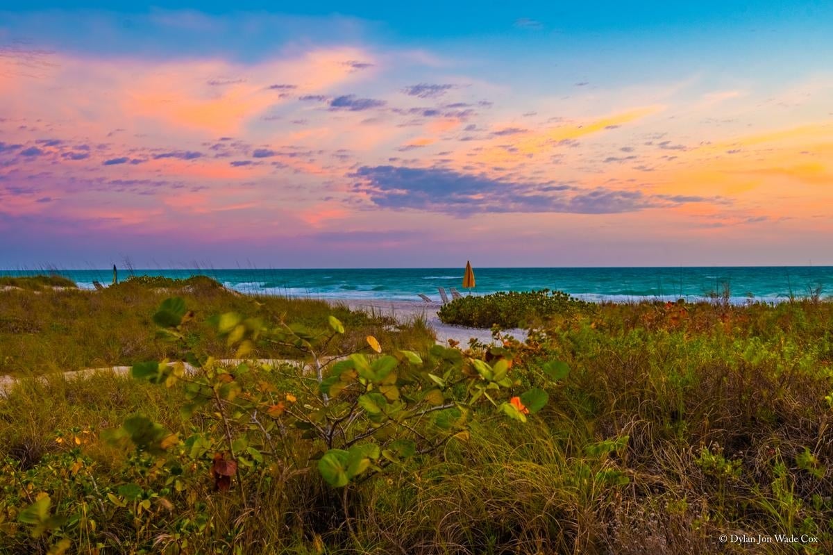Beach grass and dunes along Longboat Key beneath a colorful sunset